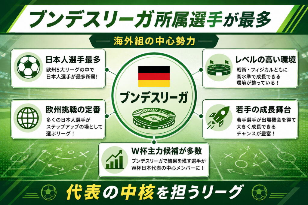 海外組日本代表 ブンデスリーガ(ドイツ)
