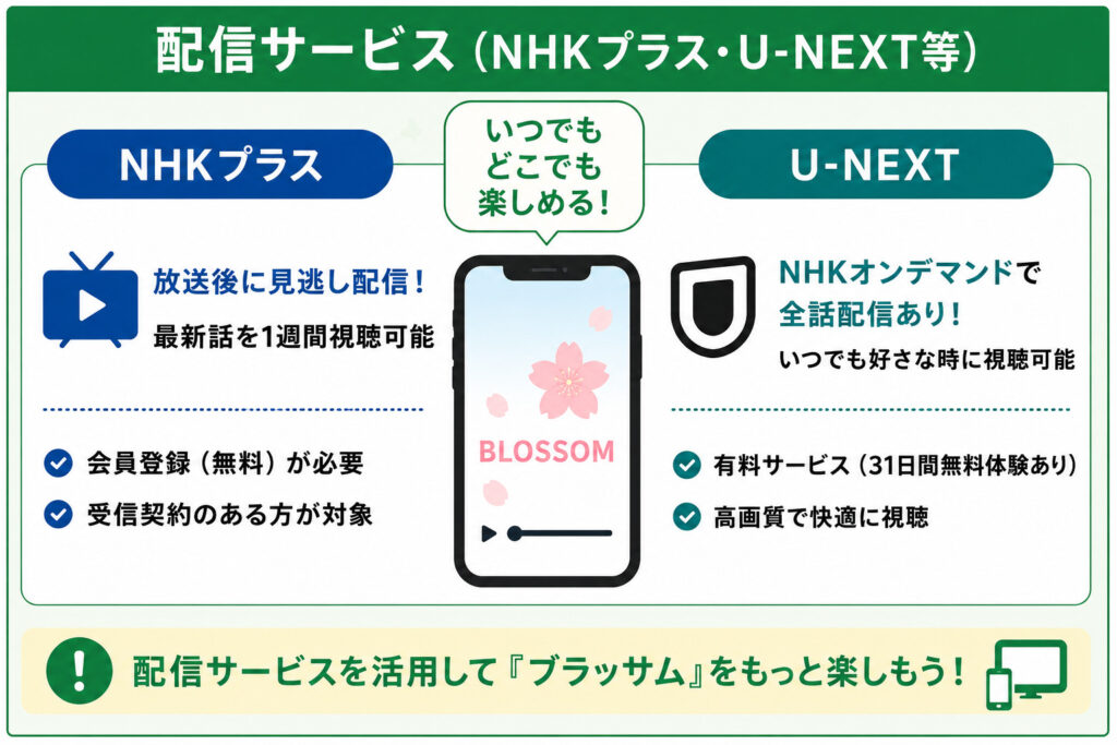 配信サービス（NHKプラス・U-NEXT等）